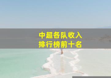 中超各队收入排行榜前十名