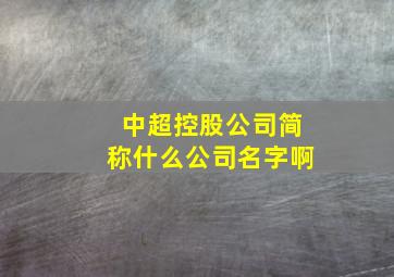 中超控股公司简称什么公司名字啊