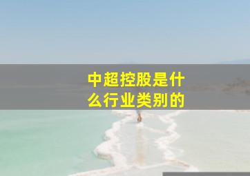 中超控股是什么行业类别的