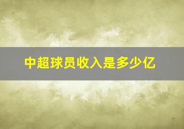 中超球员收入是多少亿