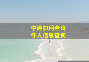 中通如何查寄件人信息查询