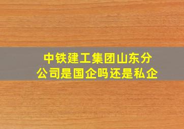 中铁建工集团山东分公司是国企吗还是私企