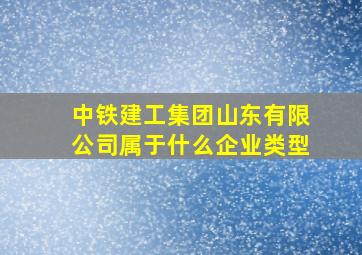 中铁建工集团山东有限公司属于什么企业类型