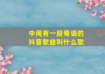 中间有一段粤语的抖音歌曲叫什么歌