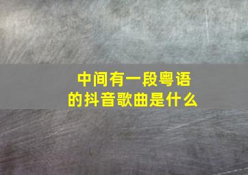 中间有一段粤语的抖音歌曲是什么