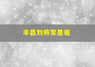 丰县刘将军是谁