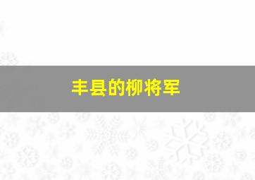 丰县的柳将军