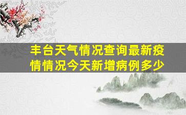 丰台天气情况查询最新疫情情况今天新增病例多少