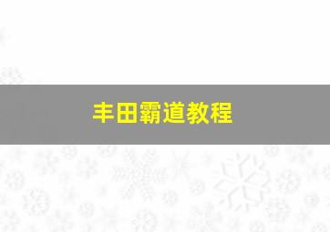 丰田霸道教程