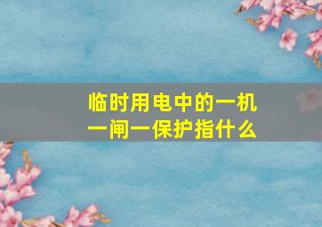 临时用电中的一机一闸一保护指什么