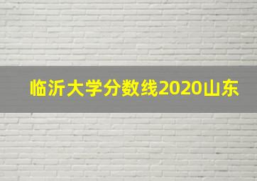 临沂大学分数线2020山东