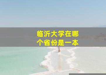 临沂大学在哪个省份是一本