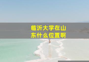 临沂大学在山东什么位置啊