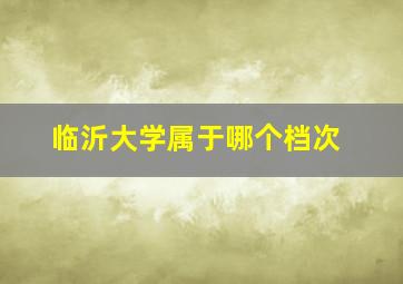 临沂大学属于哪个档次