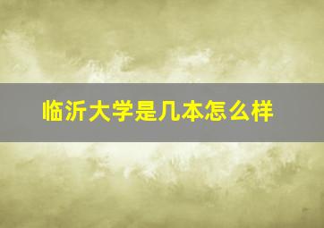 临沂大学是几本怎么样