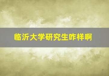 临沂大学研究生咋样啊