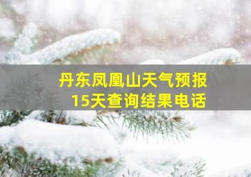 丹东凤凰山天气预报15天查询结果电话