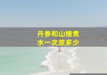 丹参和山楂煮水一次放多少