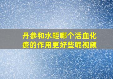 丹参和水蛭哪个活血化瘀的作用更好些呢视频