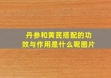 丹参和黄芪搭配的功效与作用是什么呢图片