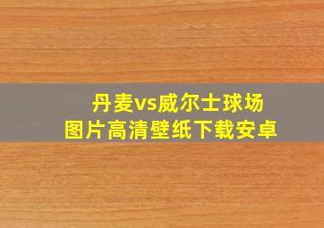 丹麦vs威尔士球场图片高清壁纸下载安卓