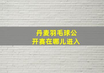 丹麦羽毛球公开赛在哪儿进入