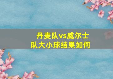 丹麦队vs威尔士队大小球结果如何