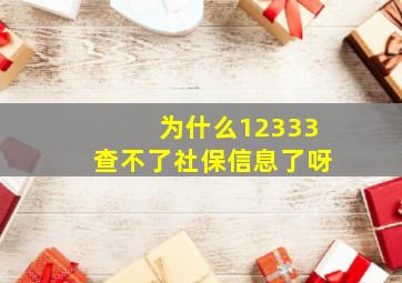 为什么12333查不了社保信息了呀