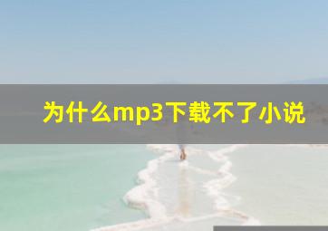 为什么mp3下载不了小说