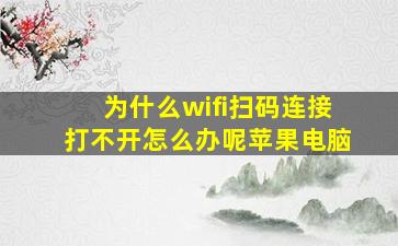 为什么wifi扫码连接打不开怎么办呢苹果电脑