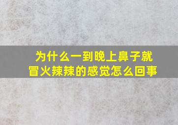 为什么一到晚上鼻子就冒火辣辣的感觉怎么回事