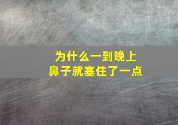 为什么一到晚上鼻子就塞住了一点