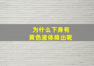 为什么下身有黄色液体排出呢