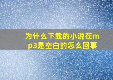 为什么下载的小说在mp3是空白的怎么回事