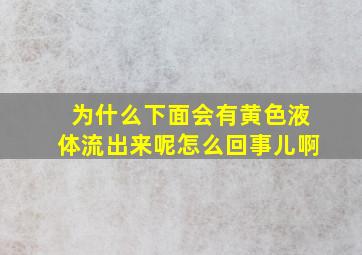 为什么下面会有黄色液体流出来呢怎么回事儿啊