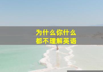 为什么你什么都不理解英语