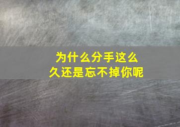 为什么分手这么久还是忘不掉你呢