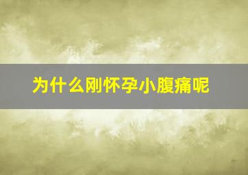 为什么刚怀孕小腹痛呢