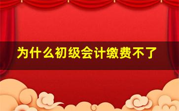 为什么初级会计缴费不了