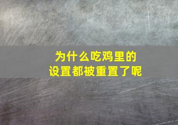 为什么吃鸡里的设置都被重置了呢