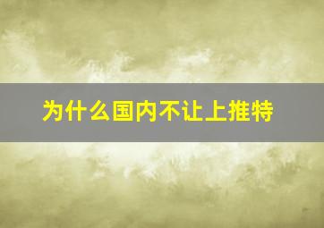 为什么国内不让上推特