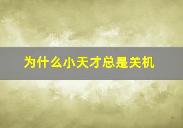 为什么小天才总是关机