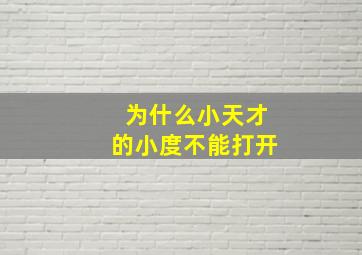 为什么小天才的小度不能打开