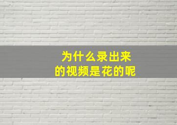 为什么录出来的视频是花的呢