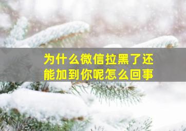 为什么微信拉黑了还能加到你呢怎么回事