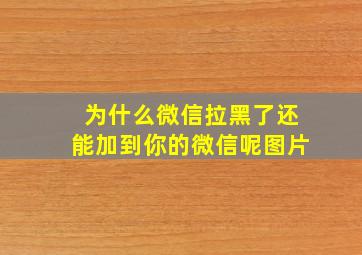 为什么微信拉黑了还能加到你的微信呢图片