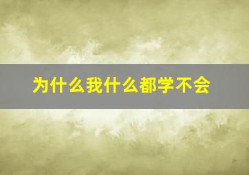 为什么我什么都学不会