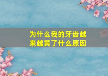 为什么我的牙齿越来越黄了什么原因