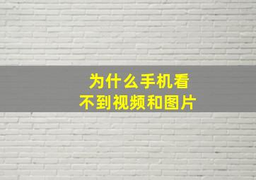 为什么手机看不到视频和图片