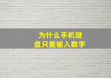 为什么手机键盘只能输入数字